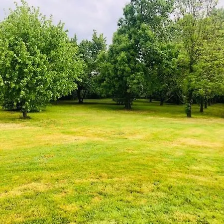 La Tenuta Di Leo סן ג'יובאני אין פרסיצ'טו